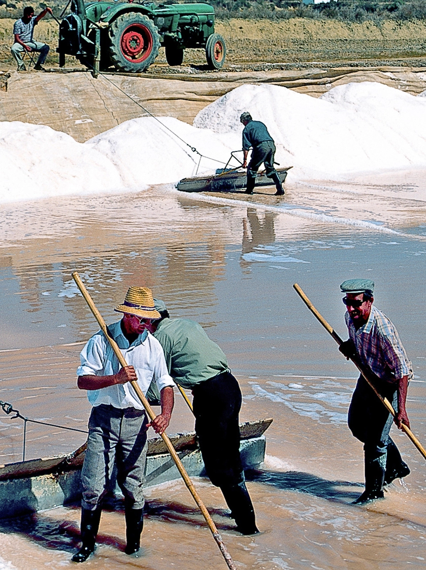Workers in the field
