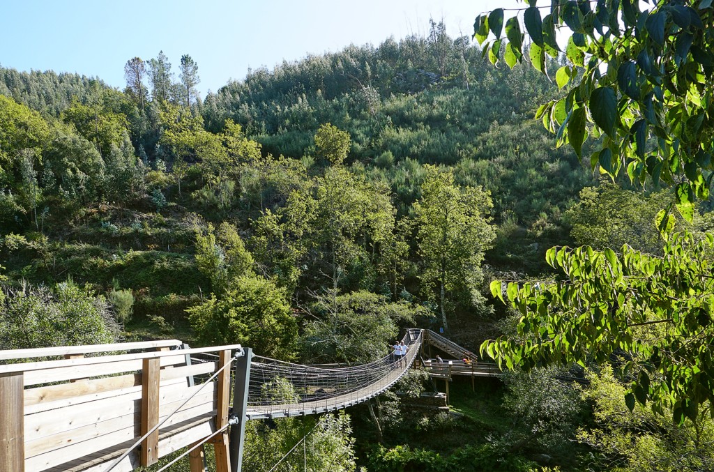 Suspended bridge winds through lush green forest landscape