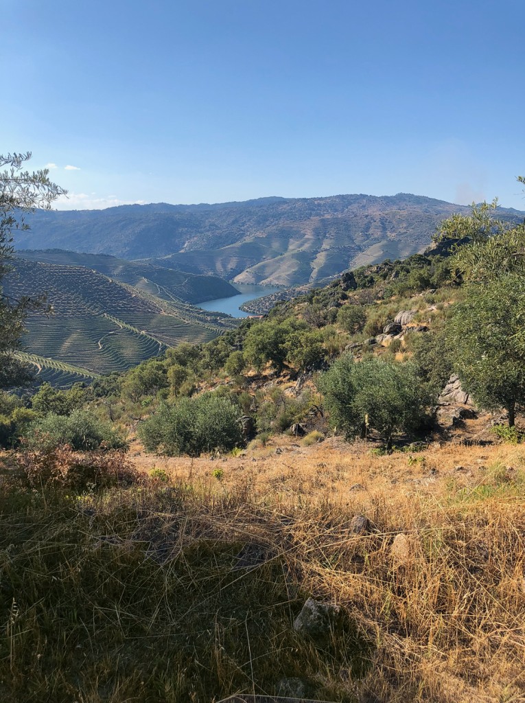Panoramablick auf Weinberge und einen See in den Bergen