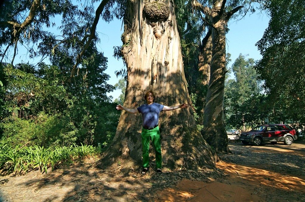Ein Mann steht vor einem riesigen Baum mit ausgebreiteten Armen.