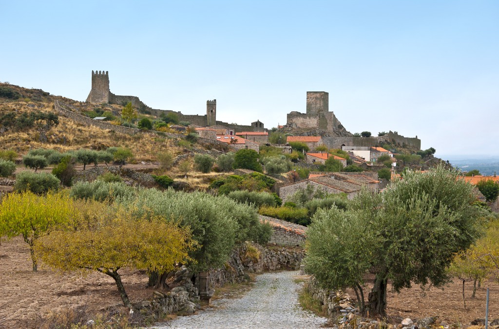 Historische Burg und Olivenhaine auf einem Hügel in Portugal