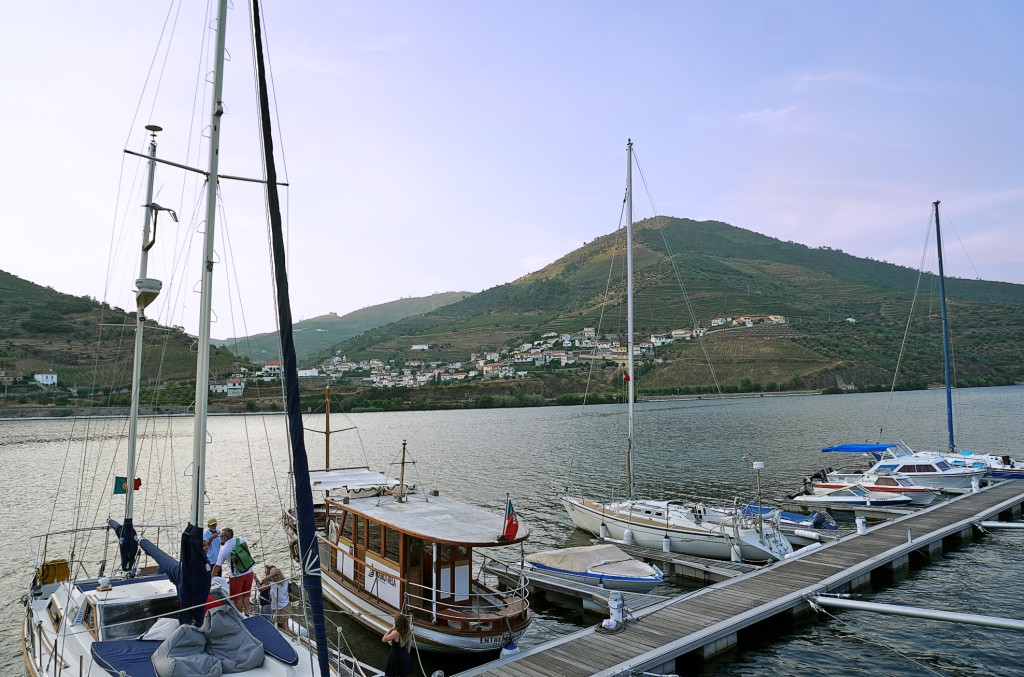 Boats docked at a marina with a hillside village in the background