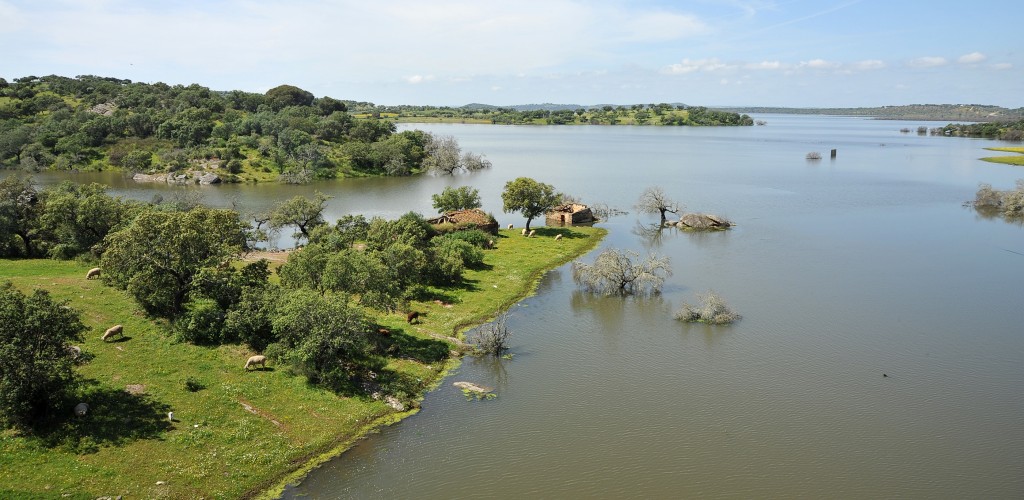 Eine Seenlandschaft mit grasbewachsenen Ufern und vereinzelten Häusern