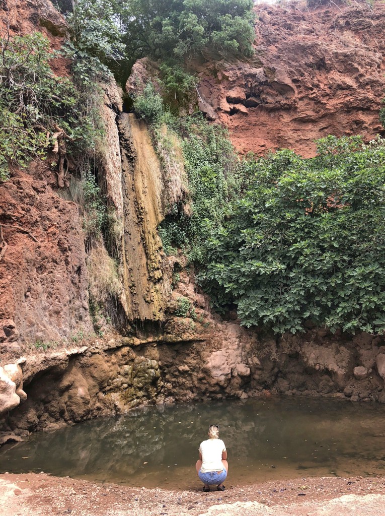 Eine Person betrachtet einen Wasserfall in einer felsigen Schlucht