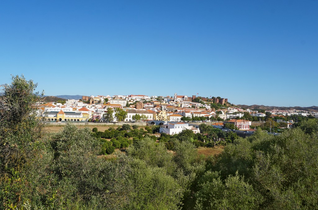 Panoramablick auf eine weiße Stadt auf einem Hügel mit Olivenbäumen im Vordergrund